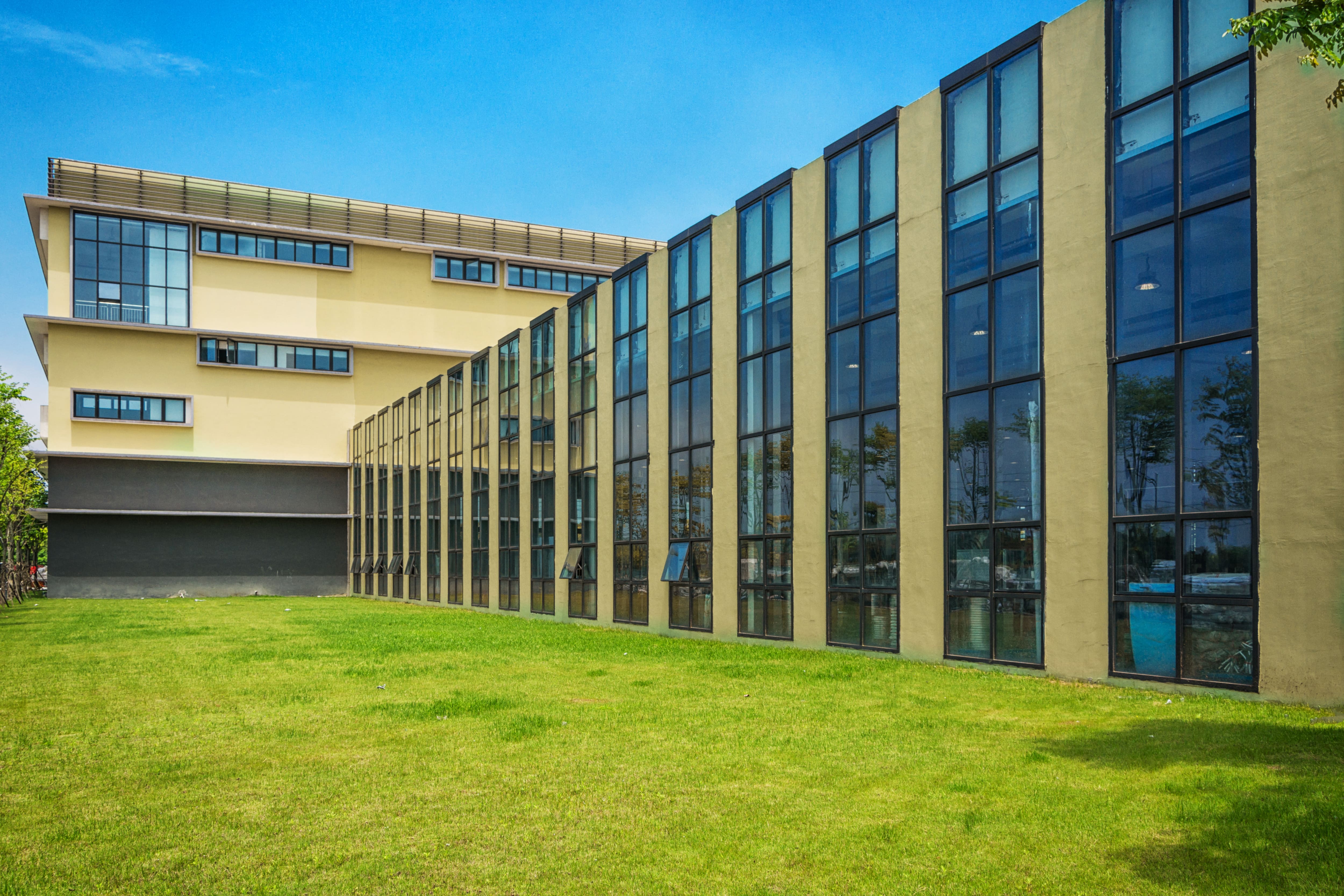 Business Studies:Single