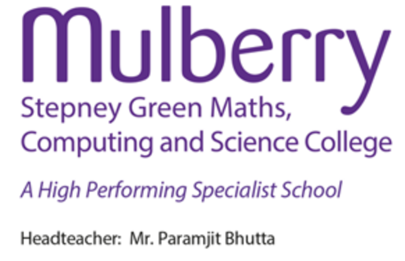 Stepney Green Maths Computing and Science College